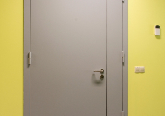 steel door with side transom